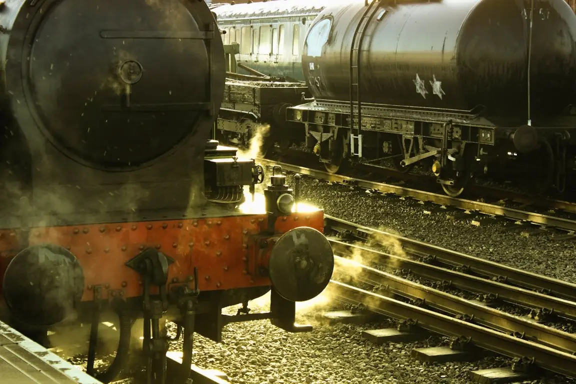 Steam trains on a train track