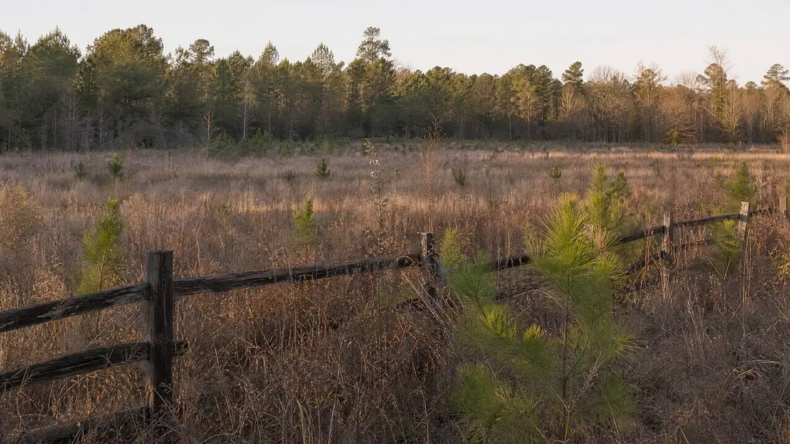 Rural land parcel with delinquent property taxes for sale in the Southeast — SellMyVacant.com buys 10+ acre parcels.