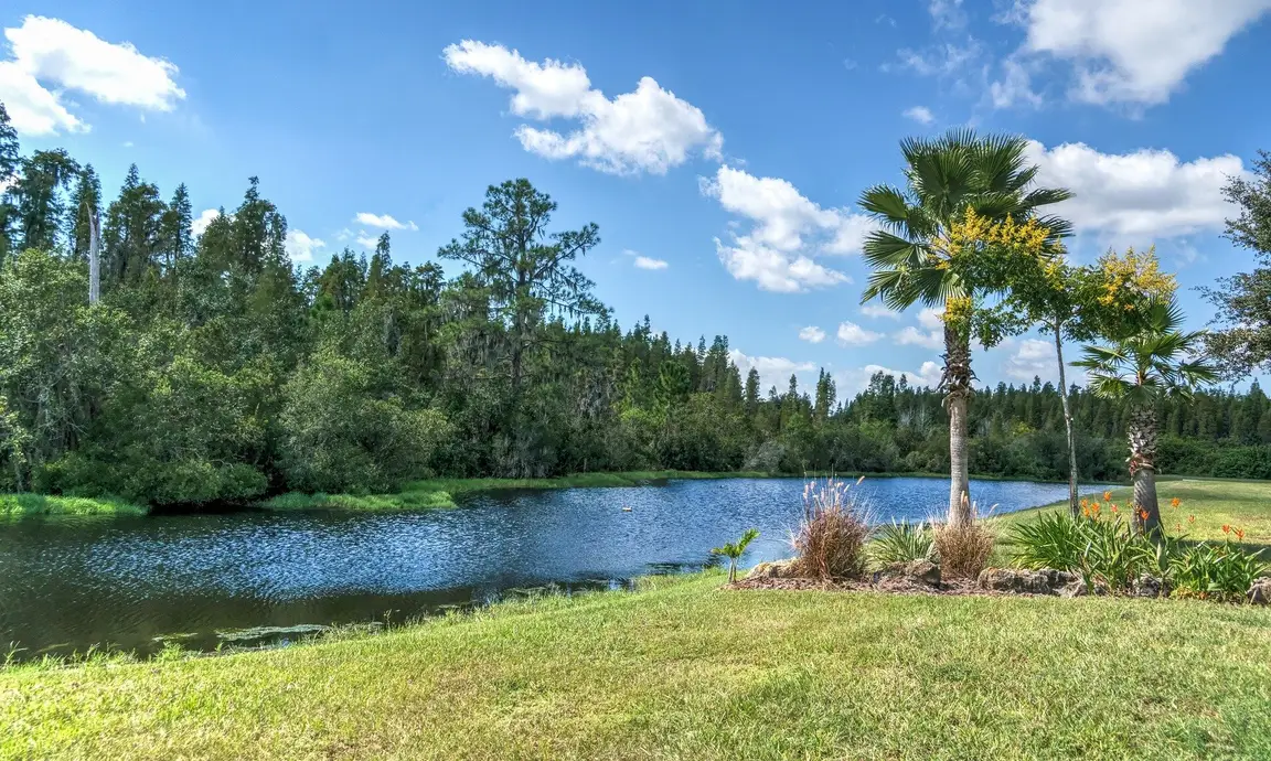 Sell My Florida Land Fast