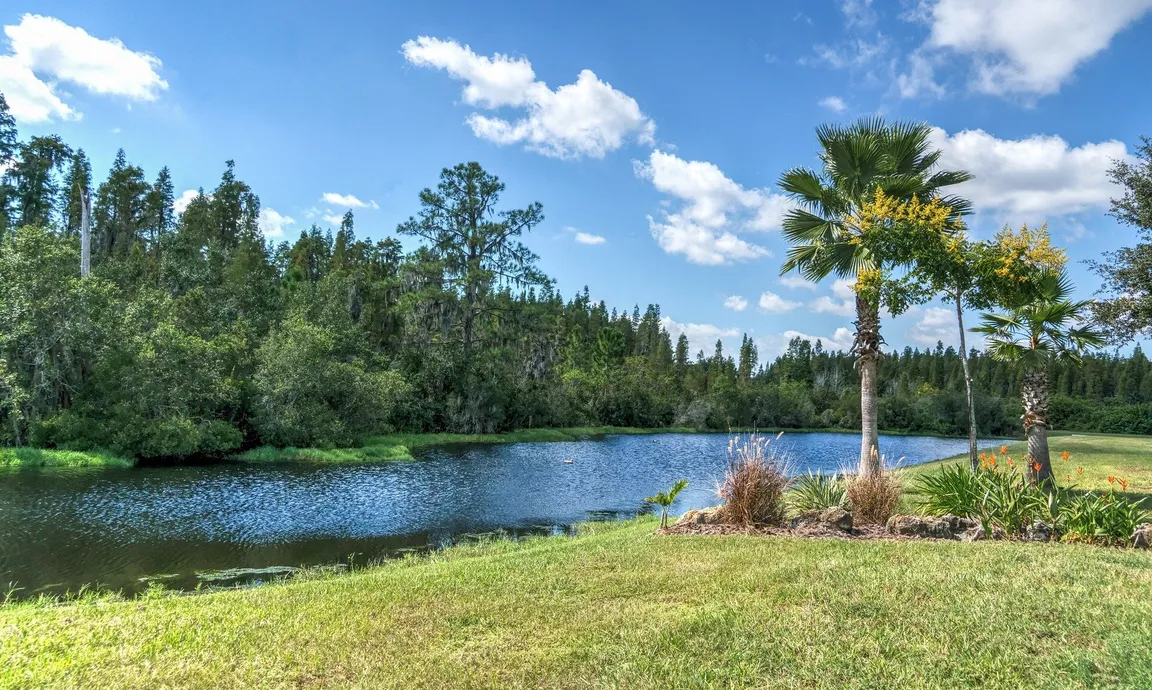 Sell My Florida Land Fast