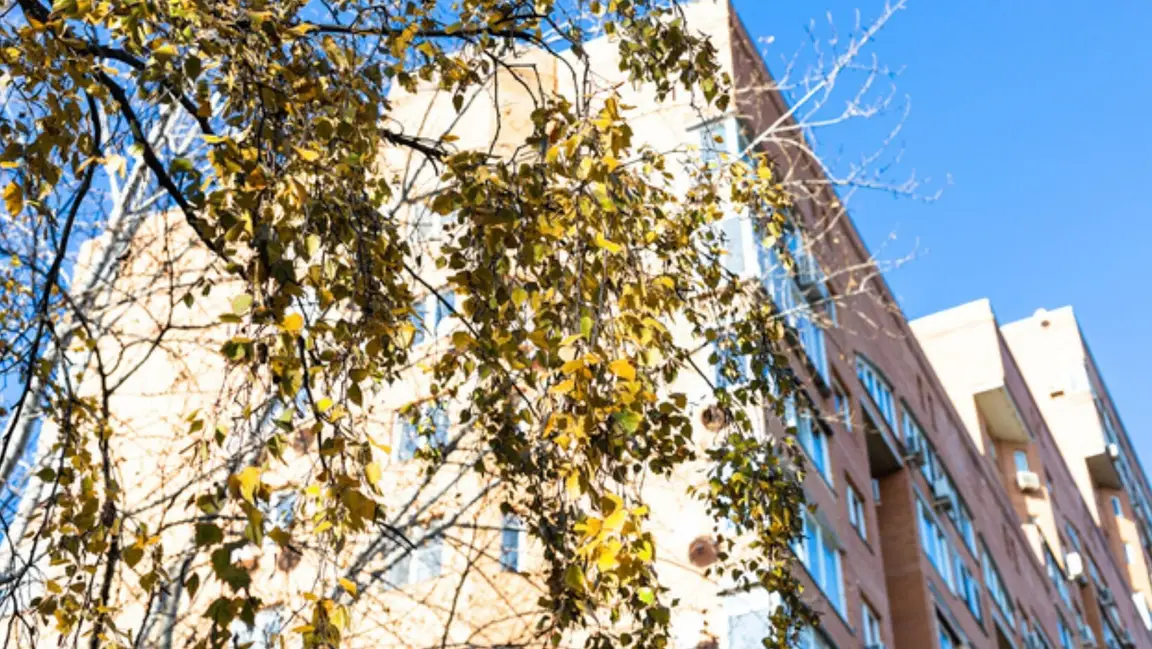 We Buy Apartments In Clarksville, TN