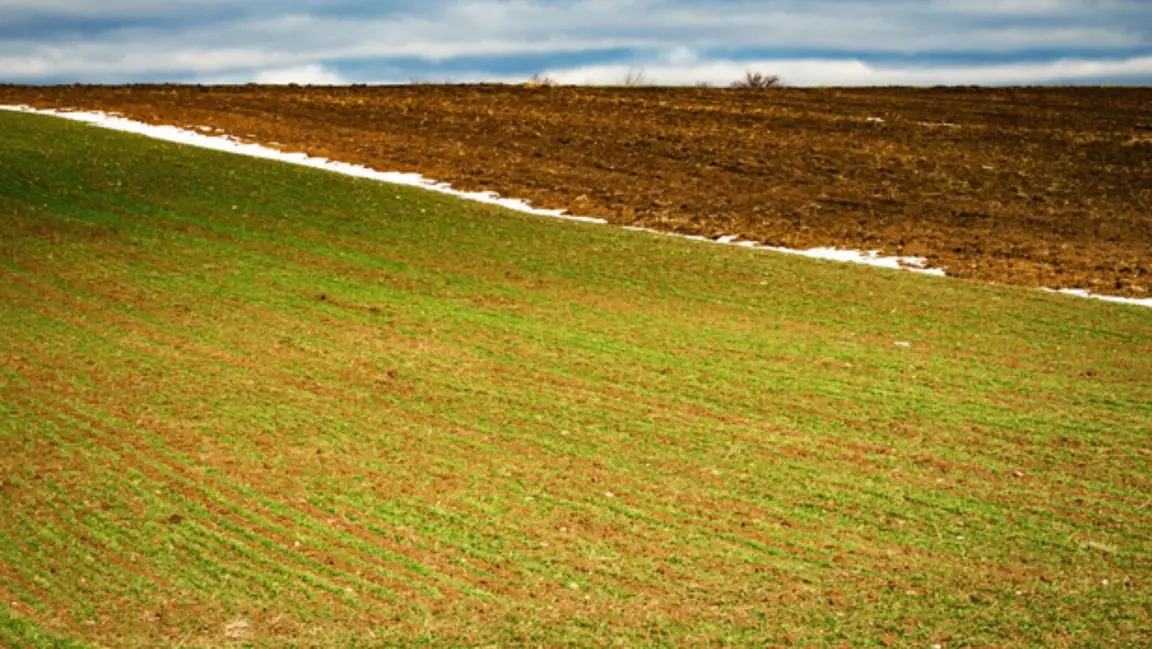 We Buy Raw Land For Cash In Clarksville, TN