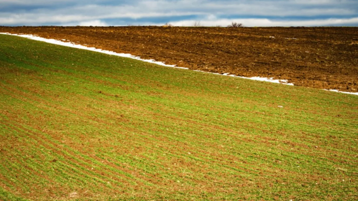 We Buy Raw Land For Cash In Clarksville, TN