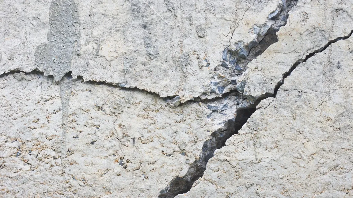 Crack in concrete foundation.