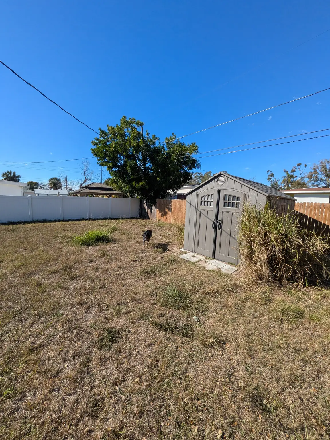 Cash home buyers in Clearwater, FL