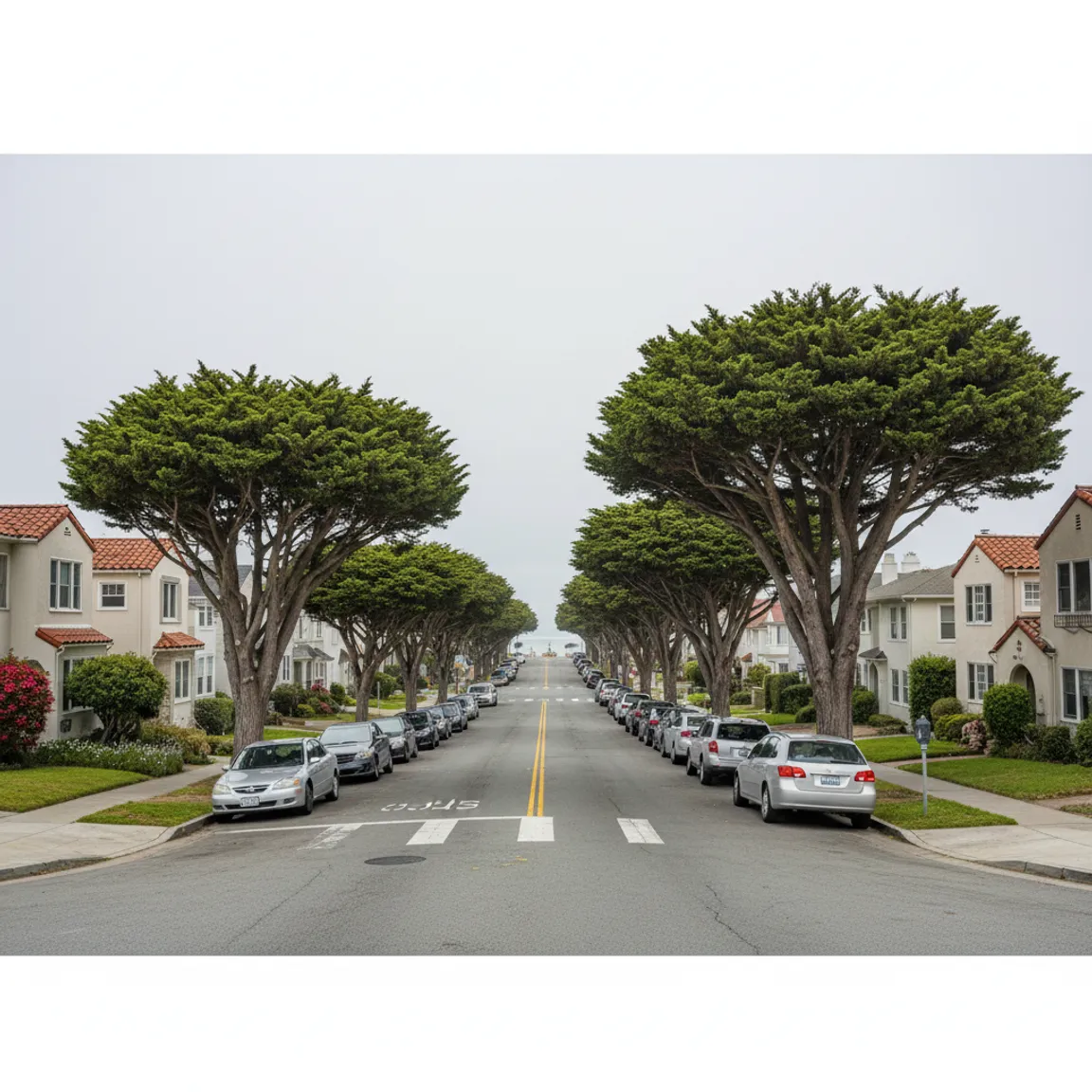 Sell Your Sunset District House Fast for Cash