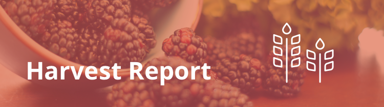 online lead generation harvest report september 2015