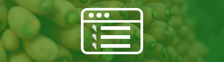 InvestorCarrot Sites
