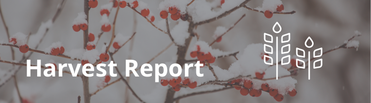 2015.12_harvest-report-main