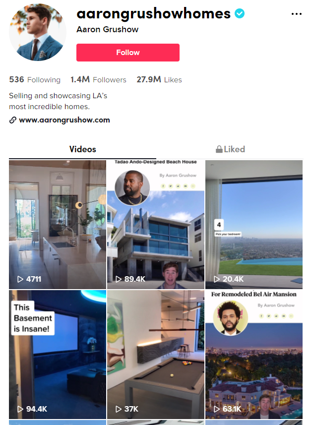 Aaron Grushow TikTok