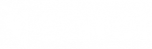 Carrot-Logo-White-2x-300x98