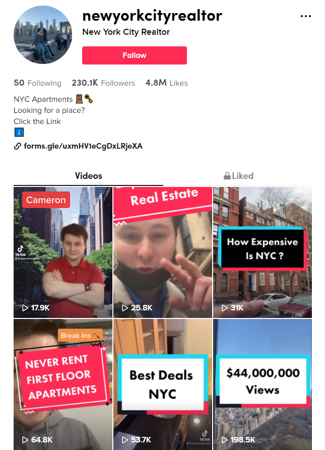 New York City Realtor TikTok