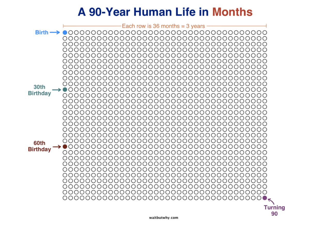 90 year human life in months