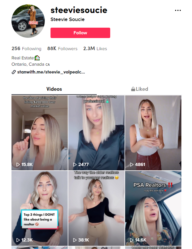 tiktok for real estate agent - steevie soucie