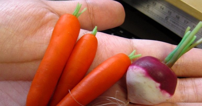carrotsvsturnip