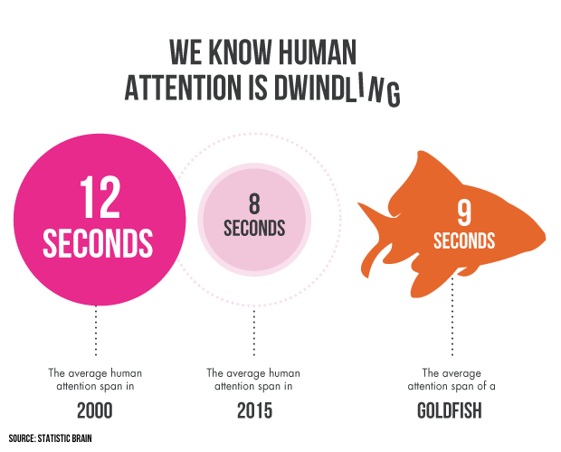 human attention span
