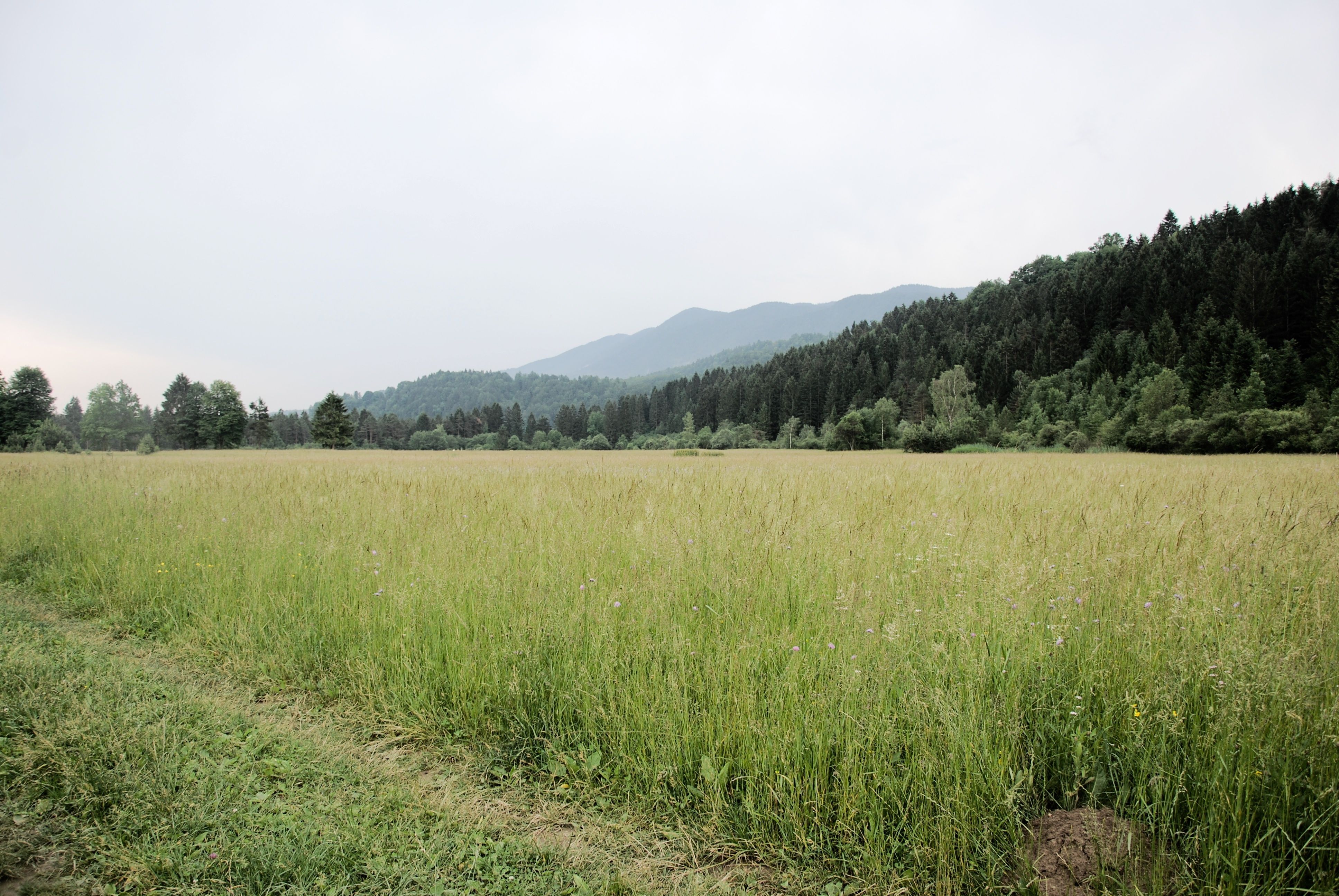 cheap land for sale in Virginia 