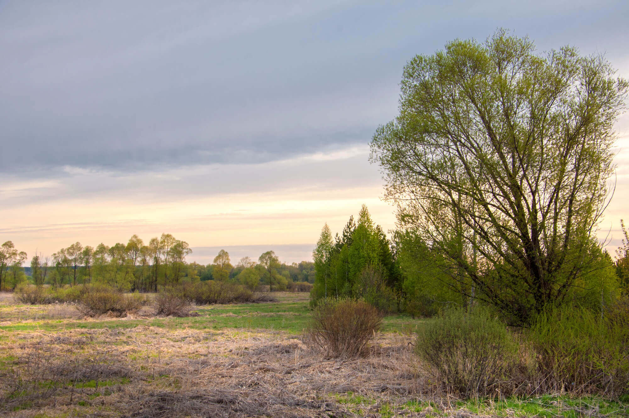 Professional Home Buyers buy green homes like this one in Cypress, Texas