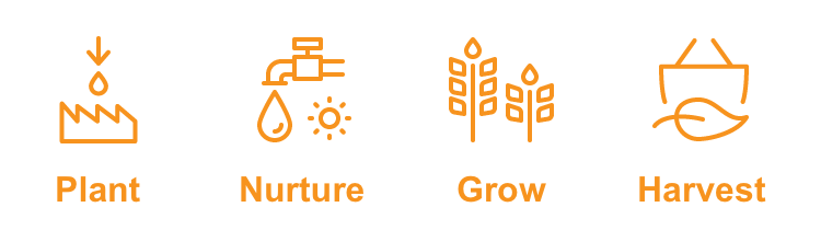 Carrot Lead Generation Plan