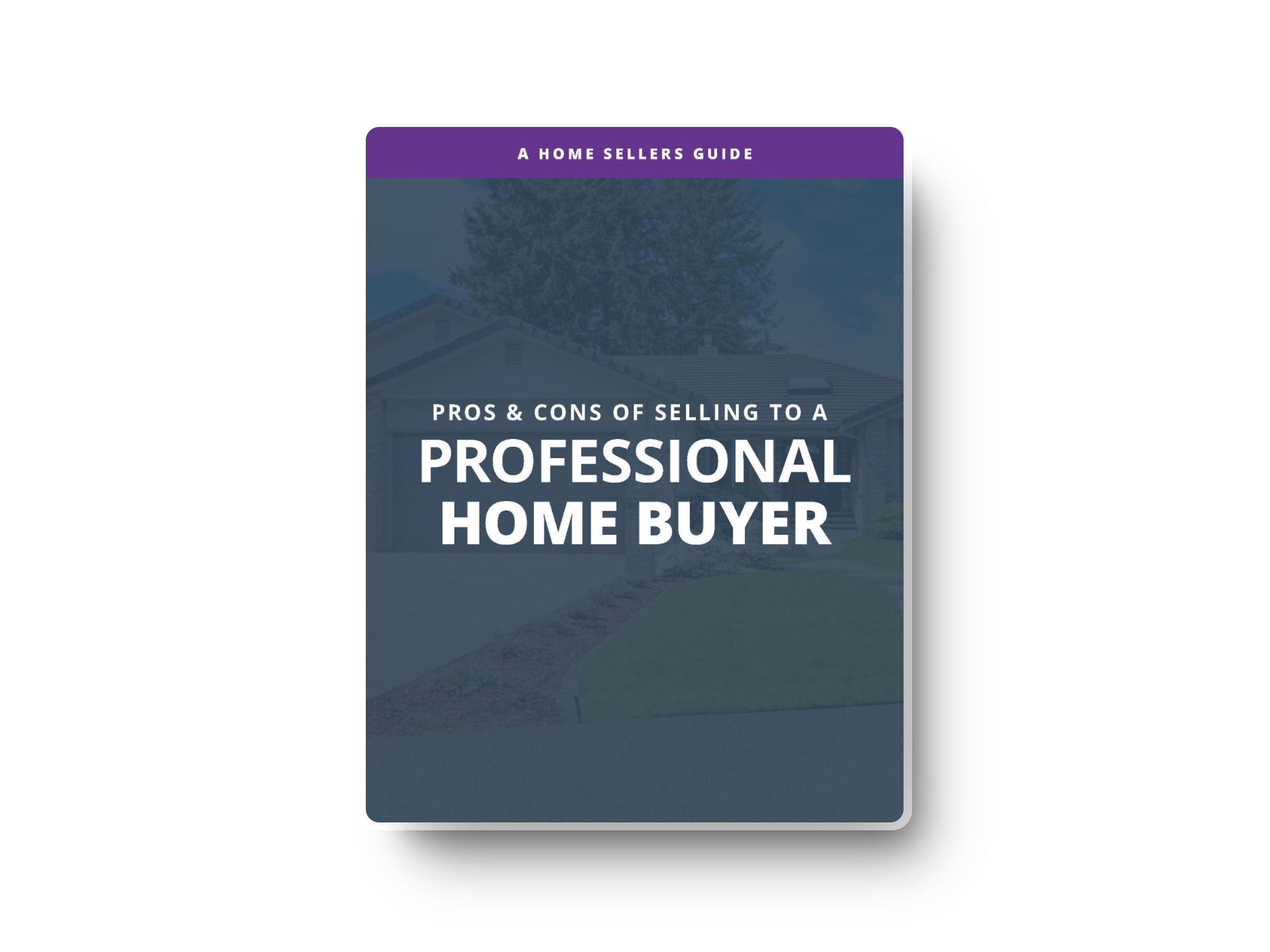 download image of free guide to professional home buyer