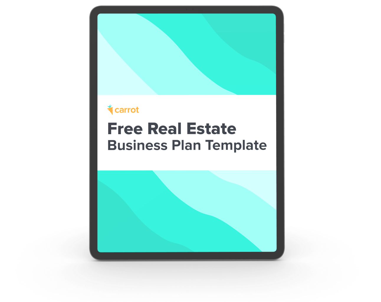 real estate business plan template ipad