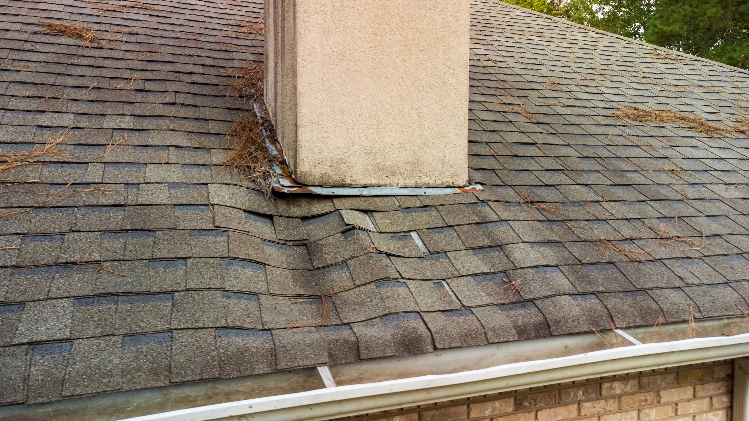 damaged roof in Roseburg
