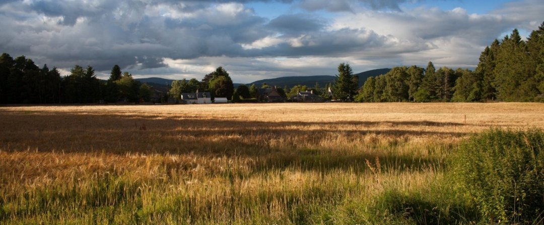 owner financing on land in OR - Carrotburg and surrounding cities