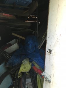 Cleaning out a hoarder house