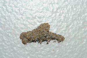 how to sell a house with termites in oklahoma city
