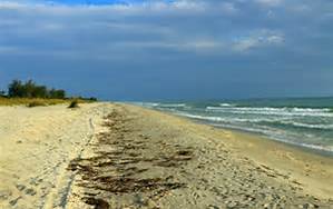 sell house fast Hudson Florida