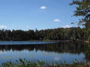 sell house fast Land O Lakes