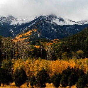 sell house fast Flagstaff Arizona