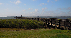 sell house fast Oldsmar Florida