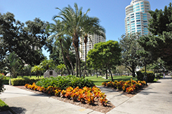 sell house fast Pinellas County