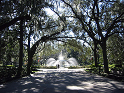 sell house fast Savannah Georgia