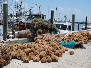 sell house fast Tarpon Springs Florida