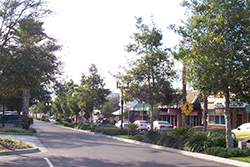 we buy houses Zephyrhills Florida
