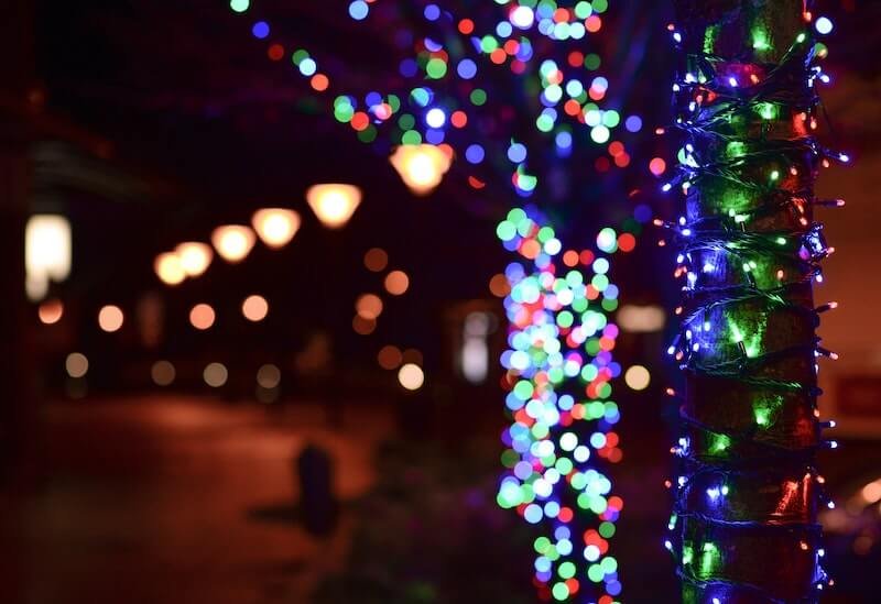 Christmas lights at the Dallas Zoo