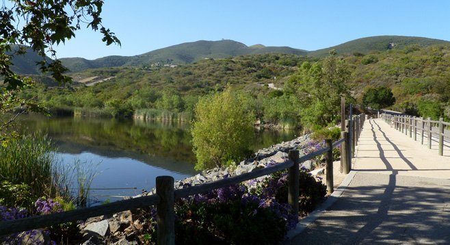 Lake With Houses San Marcos