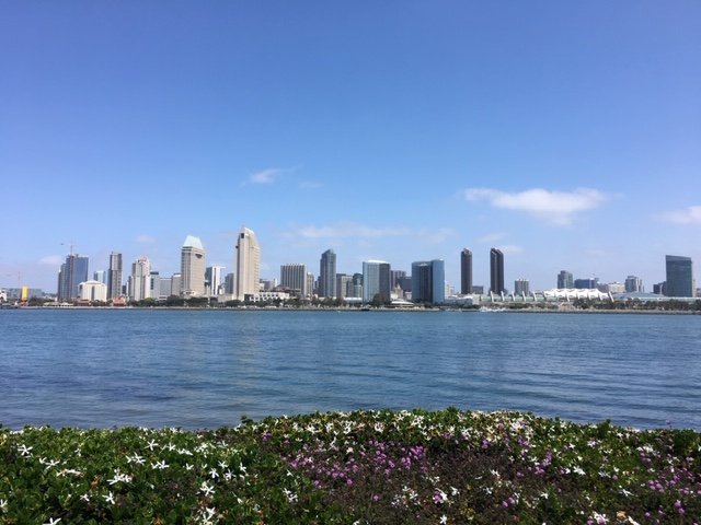San Diego, CA skyline