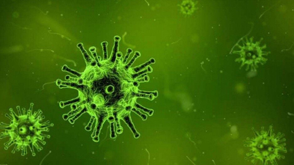 San Diego Covid-19 Image Coronavirus San Diego