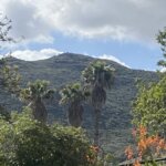 Escondido Land
