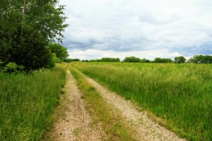 we buy land tennessee