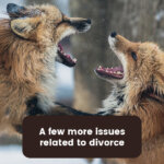 divorce issues