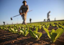 USDA loans Warner Robins