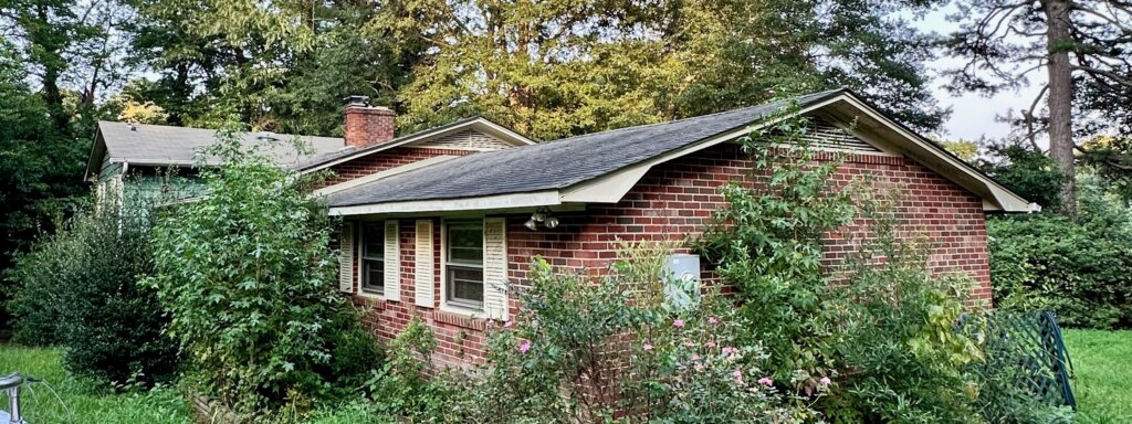 Old house overgrown by trees and shrubs.