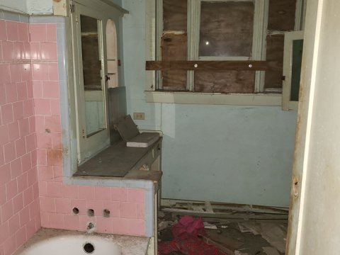 Palmetto Fixer Upper (5)