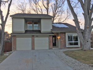 Great Denver real estate agent