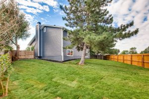 Tips to Make Your Yard a Selling Point in Aurora