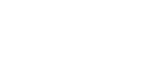 5 stars on google